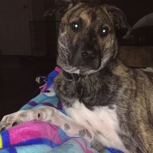 Meet your Posher, Gianna